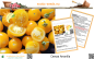 Preview: Tomate * Cereza Amarilla * 20 Samen